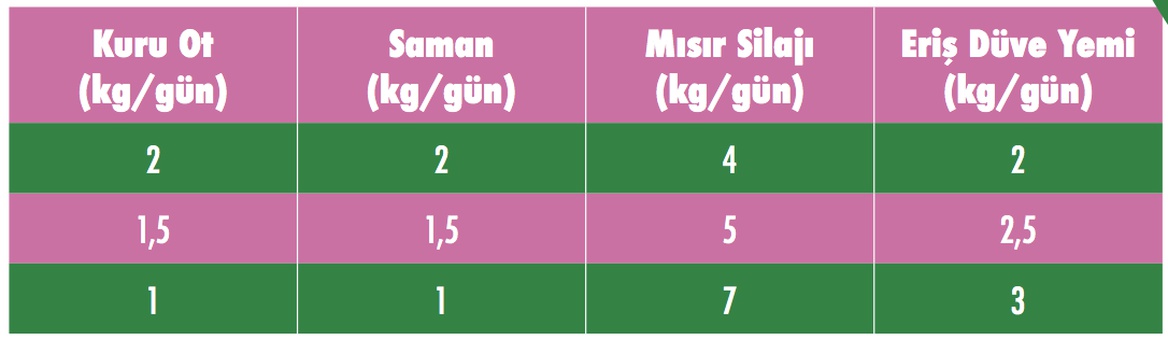 Kuru İnek Gebe Düve / Düve Yemi