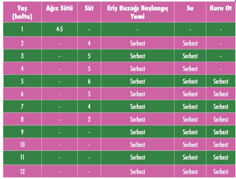 Buzağı Başlangıç Yemi