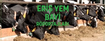 Eriş Yem Bayi Röportajları / KESTANELİK