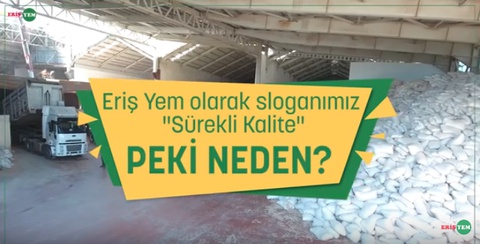 Neden ''Sürekli Kalite'' Diyoruz?