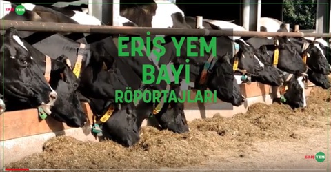 Eriş Yem Bayi Röportajları / KESTANELİK