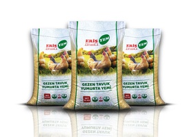 Gezen Tavuk Yumurta Yemi