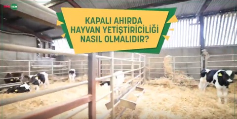 Kapalı Ahırda Hayvan Yetiştiriciliği Nasıl Olmalıdır?